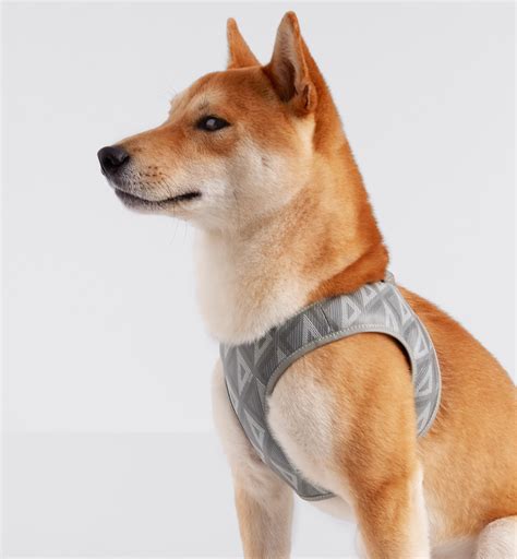 Dior pet harness